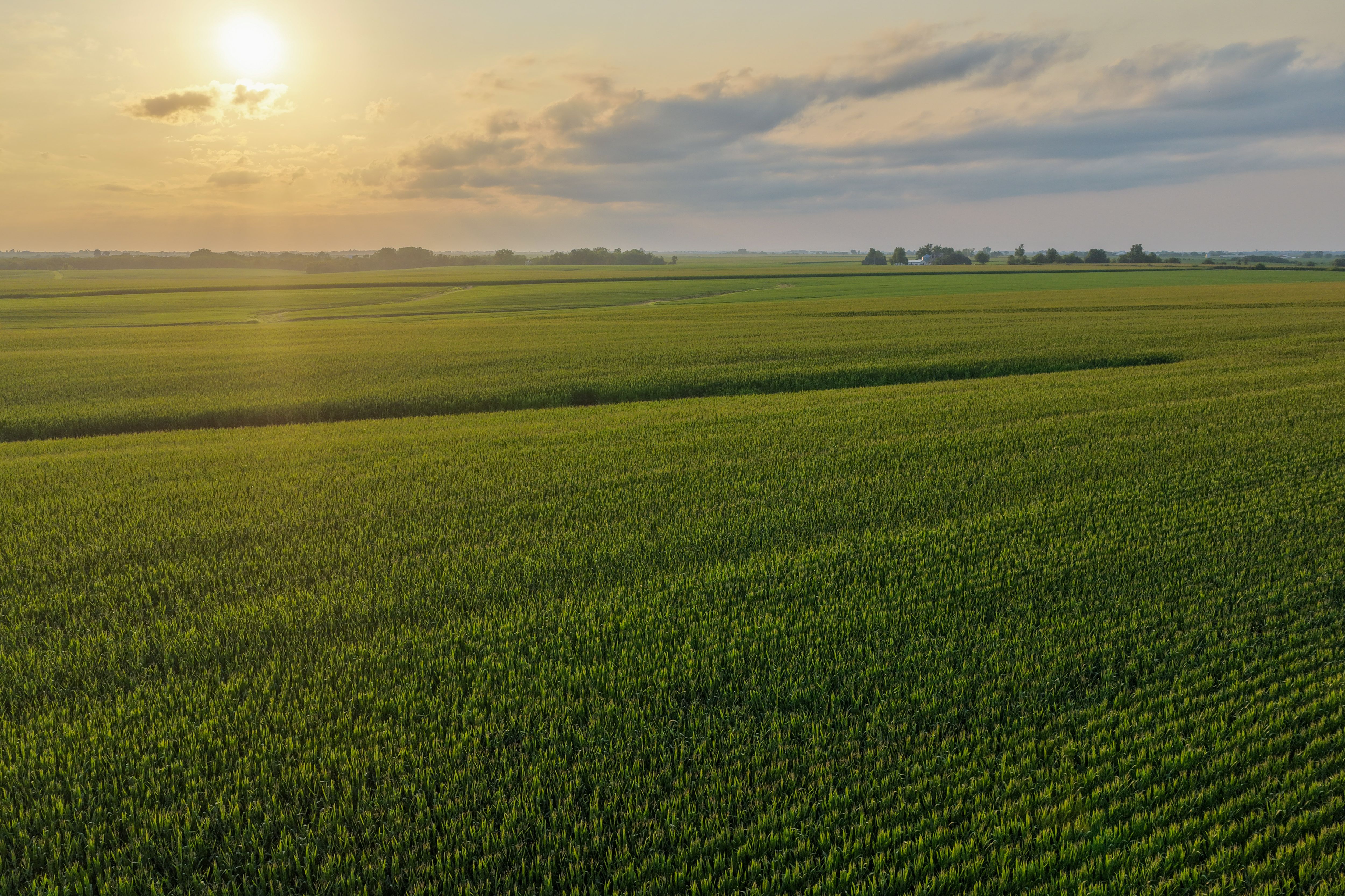 Listing Photo: Land for Sale Johnson County Iowa-12
